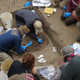 Discovery and excavation of the Upward Sun River infants. (Credit: Ben Potter)